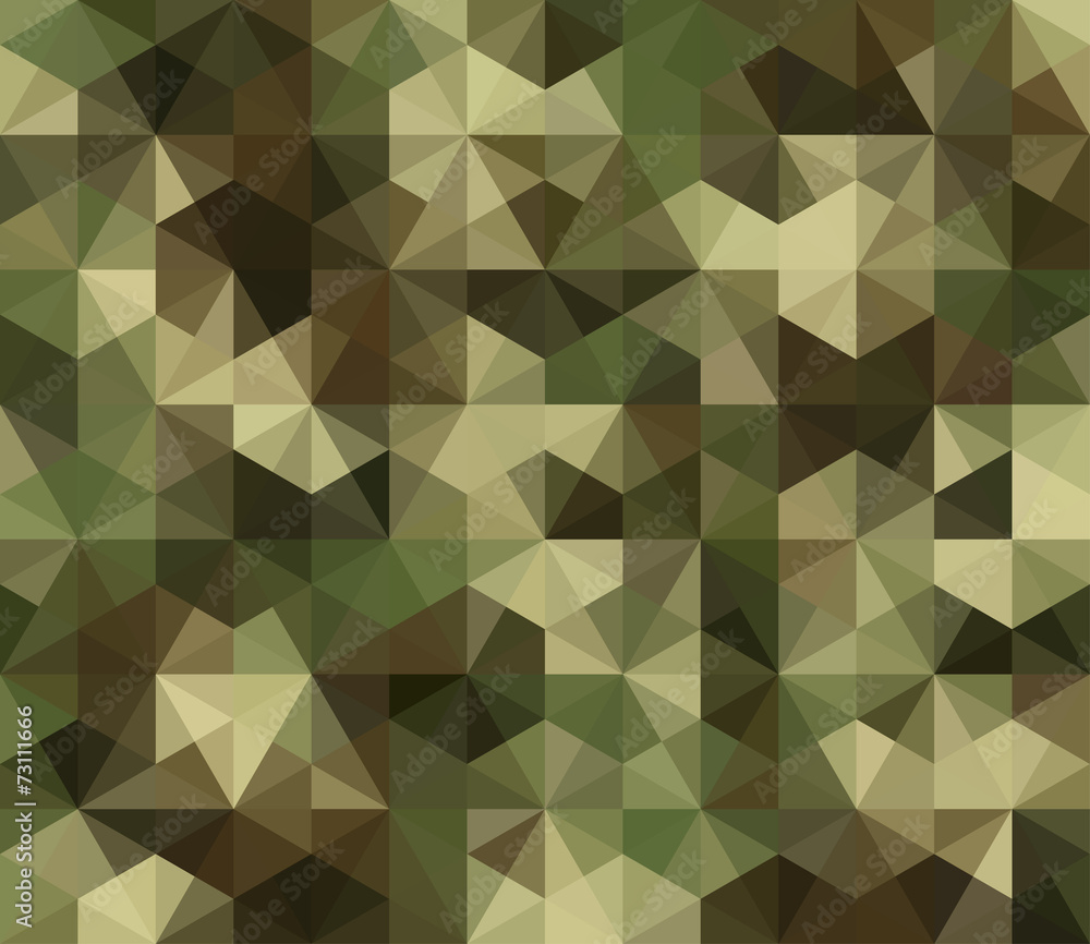 Abstract Vector Military Camouflage Background Abstract Vector Military Camouflage Background