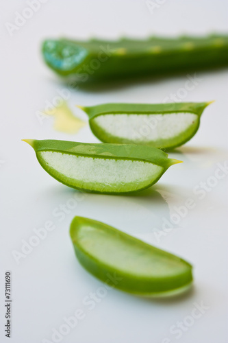 Wallpaper Mural cut aloe leaves Torontodigital.ca