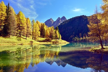 Sierkussen Foto van de dag Herfstkleurige lariksen bij Palpuognasee  © suteracher