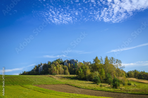 Idyllic landscape with an amazing blue sky