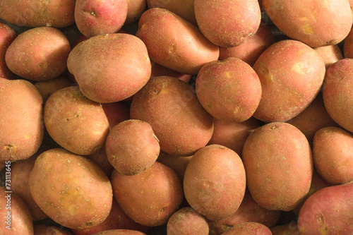 Fresh organic young potatoes