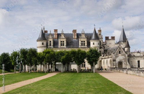 Castle of Amboise - France