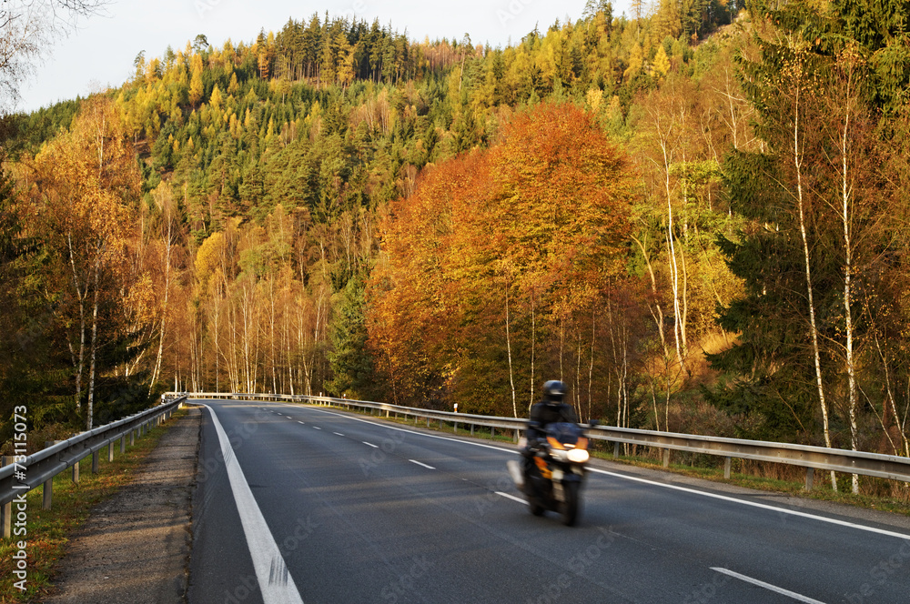 Naklejka premium Asphalt road in the autumn landscape with a ride motorcycle