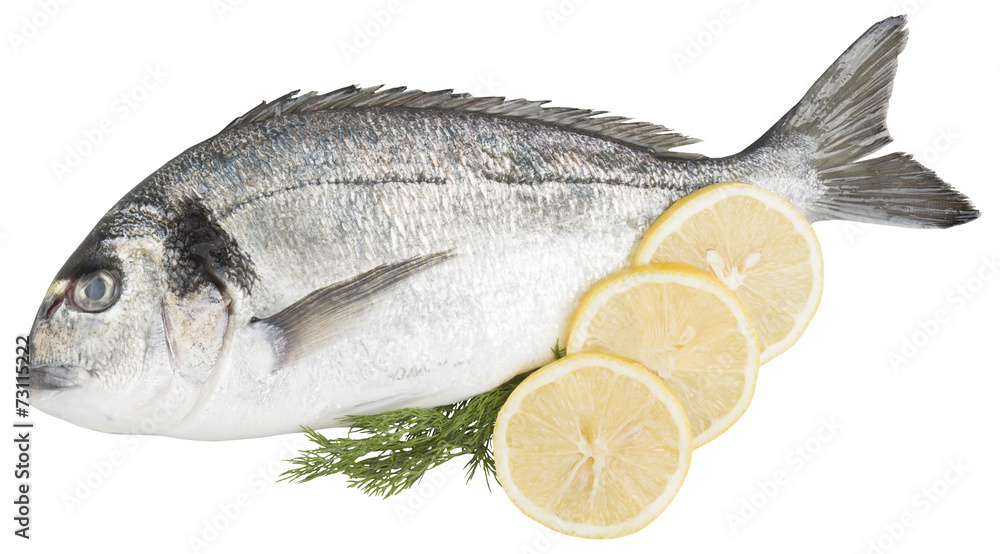 Bream with decoration of lemons and dill isolated