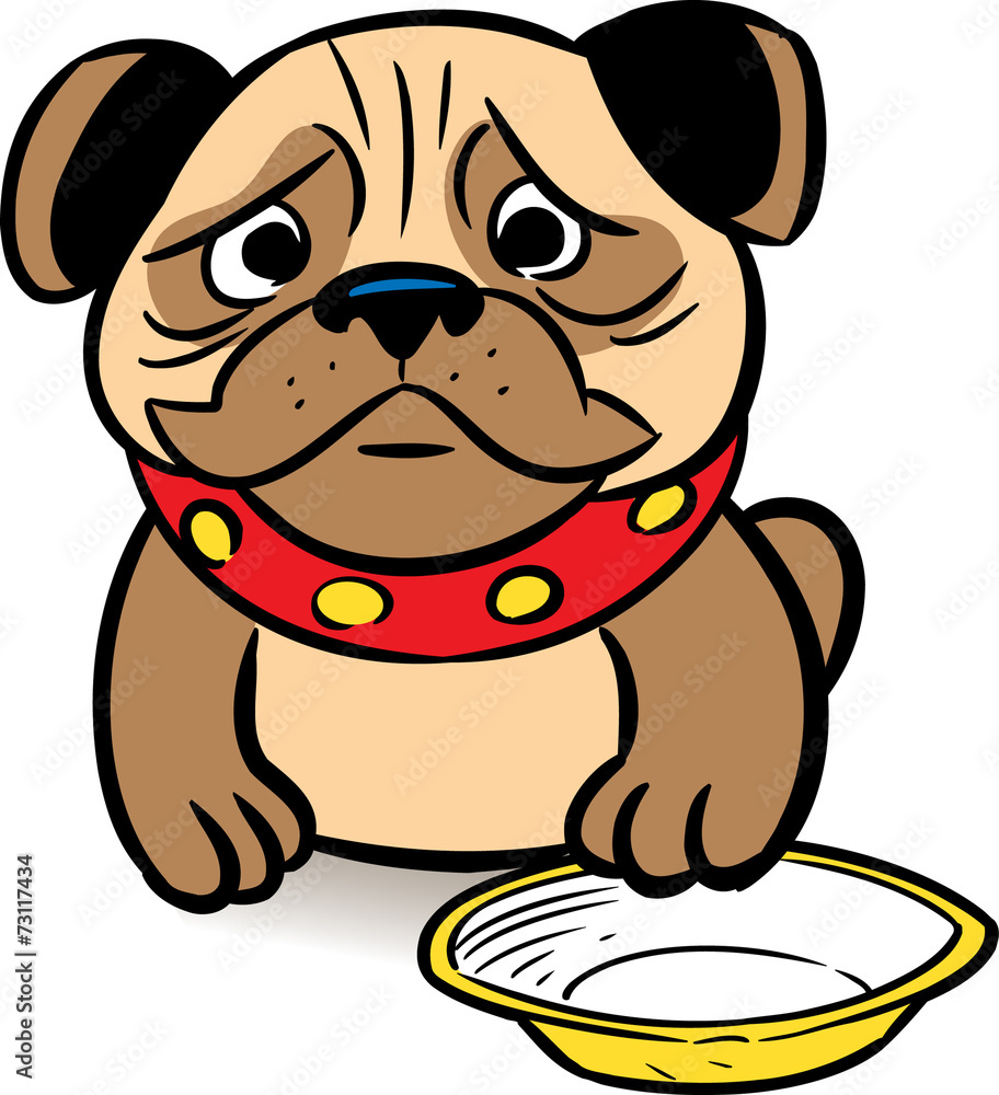 Obraz premium hungry pug