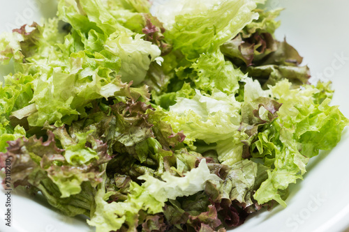 Green lettuce in a white bowl