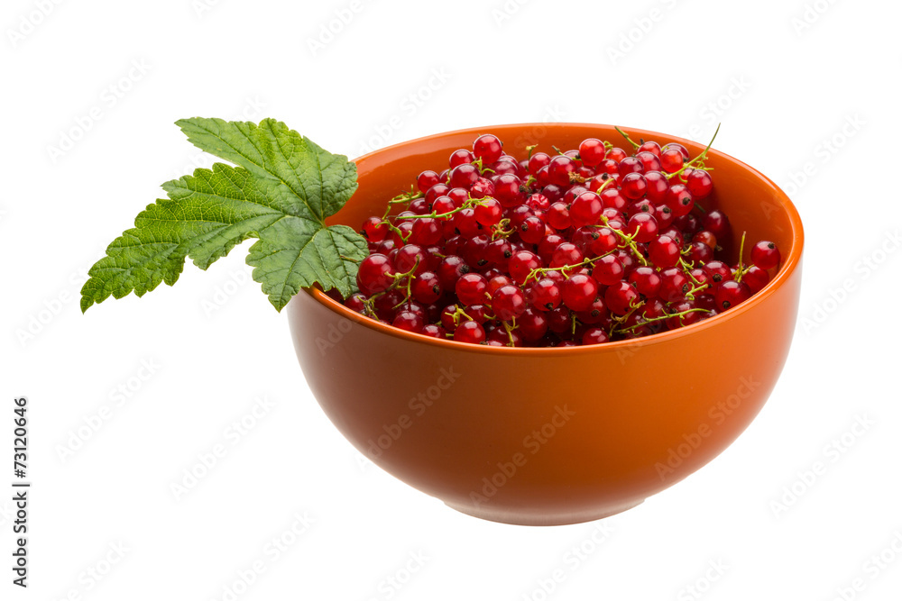 Red currant Red currant