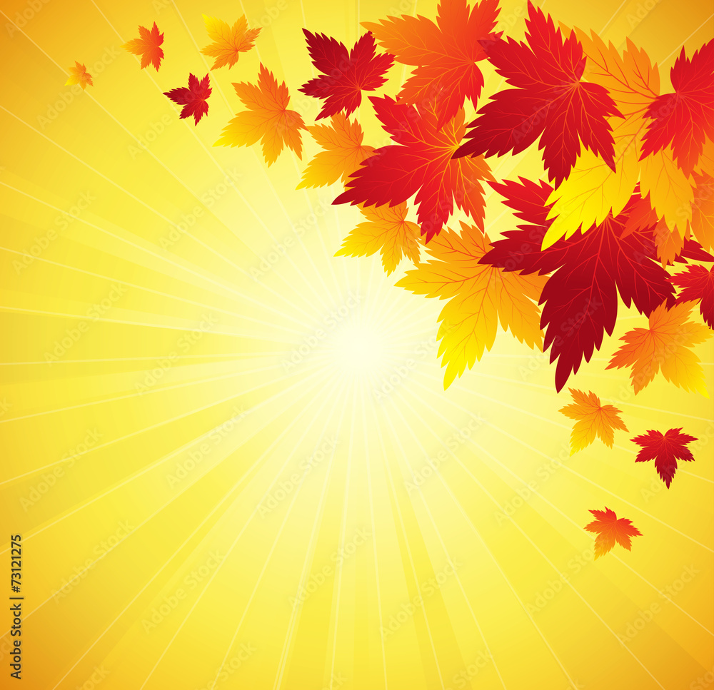 Autumn leaves background.Vector. Autumn leaves background.Vector.