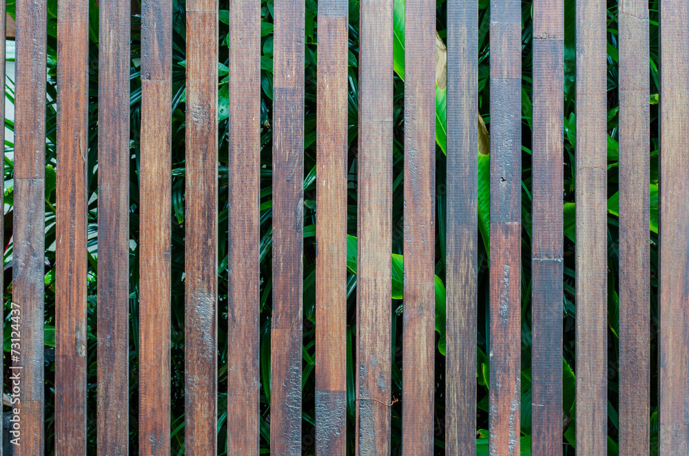 Wooden Palisade background. Close up of grey and green wooden fe Wooden Palisade background. Close up of grey and green wooden fe