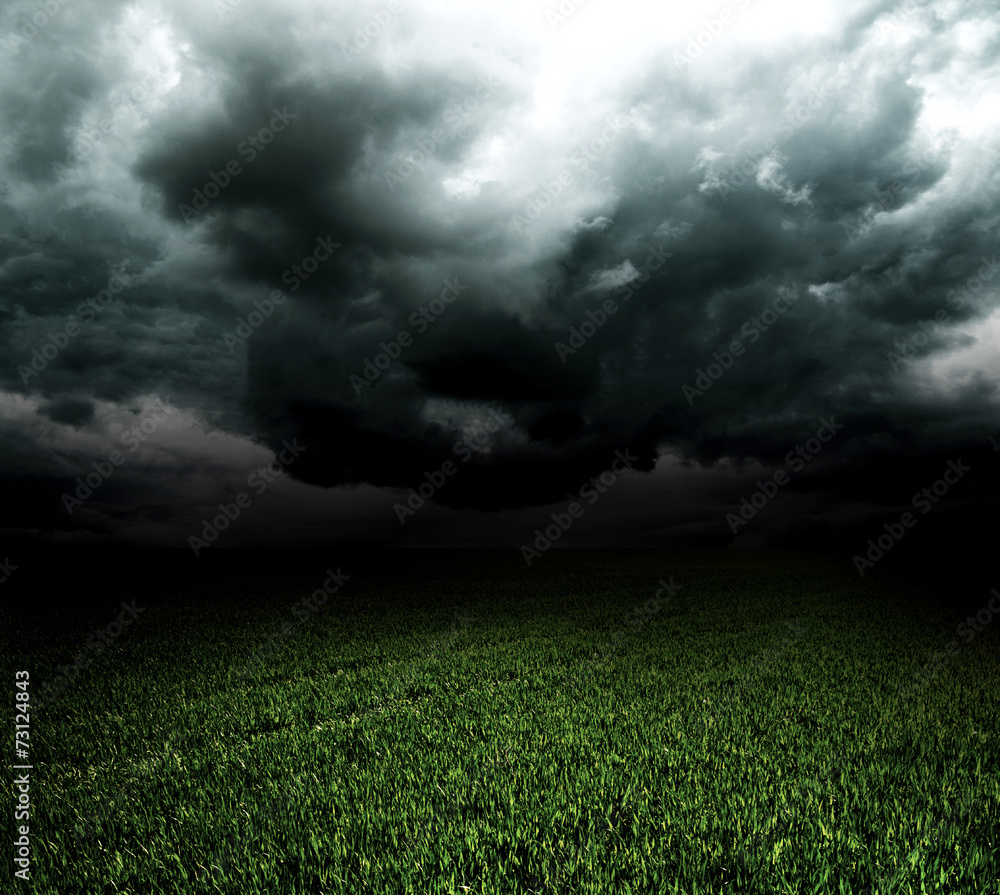 Fototapeta premium Storm dark clouds over field with grass