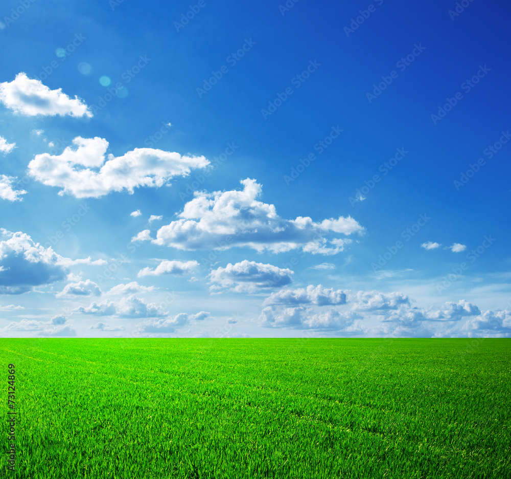 field field