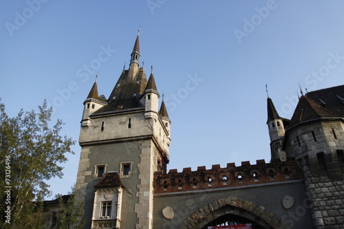 Photography Château de Vajdahunyad, Parc du Városliget à Budapest, Hongrie