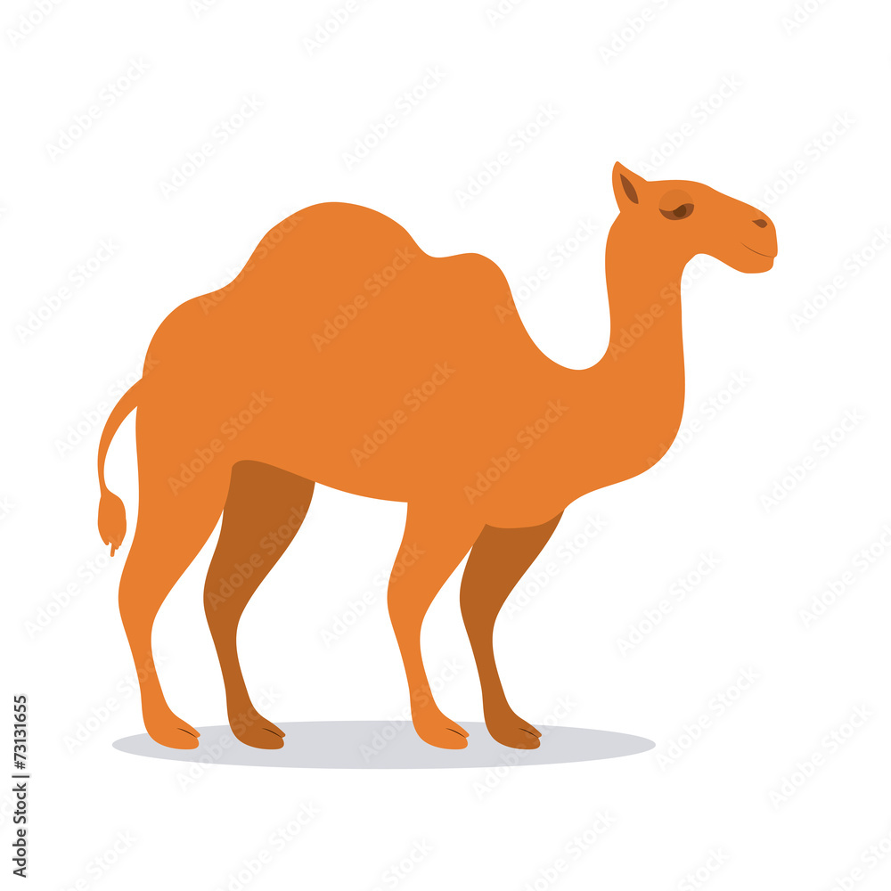 Animal design Animal design