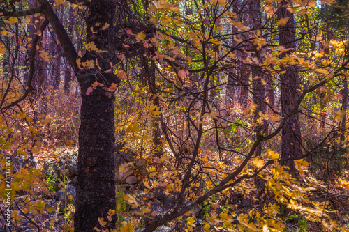 Beautiful Sedona Arizona on a Autumn Day