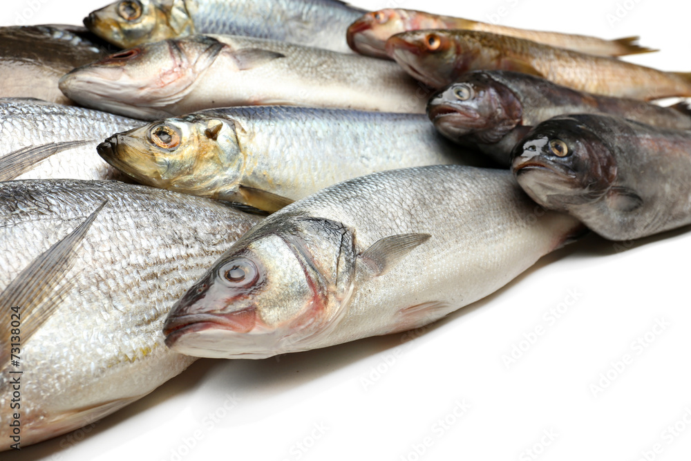 Fresh catch of fish close-up Fresh catch of fish close-up