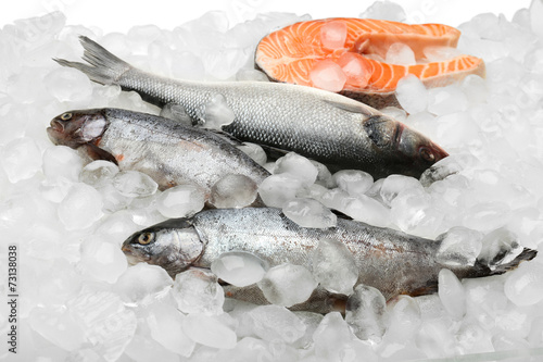 Fresh fish on ice photo