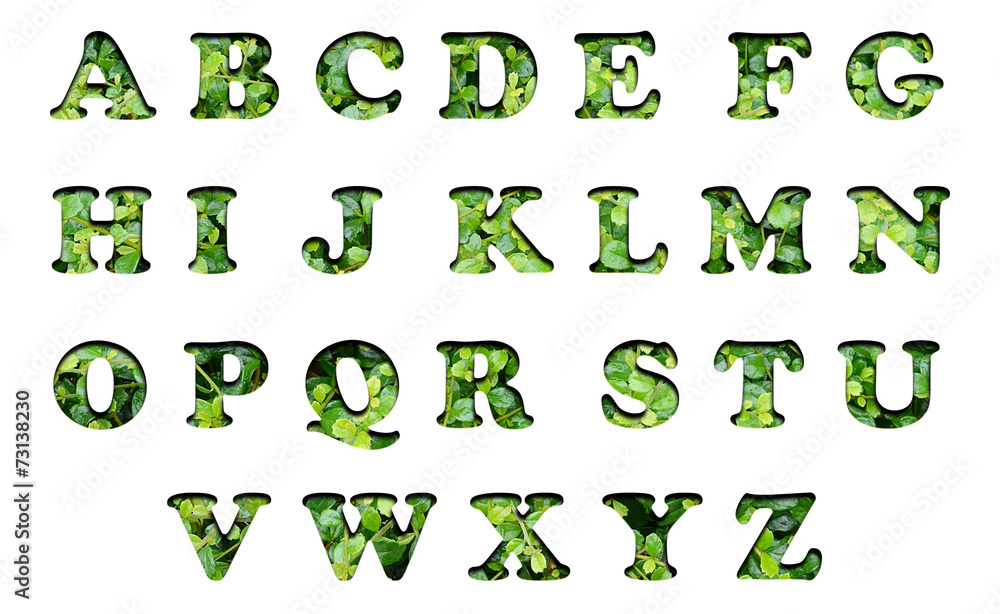 Set of alphabet green leave background texture Set of alphabet green leave background texture