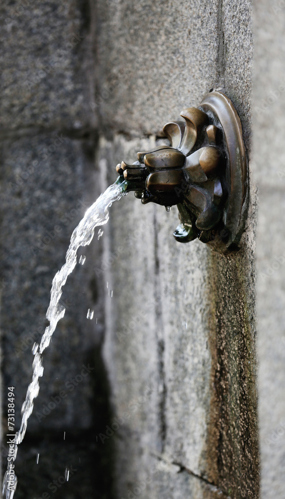 Water fountain in garden