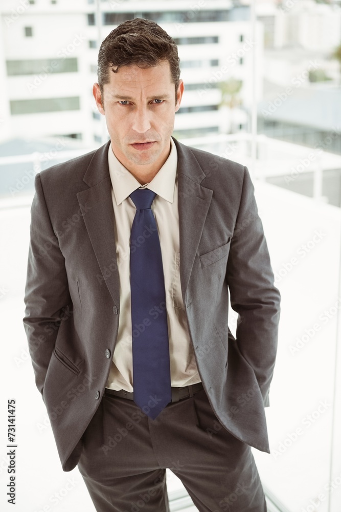 Smart businessman in suit at office Smart businessman in suit at office