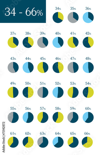 Collection of infographic percentage circle charts.