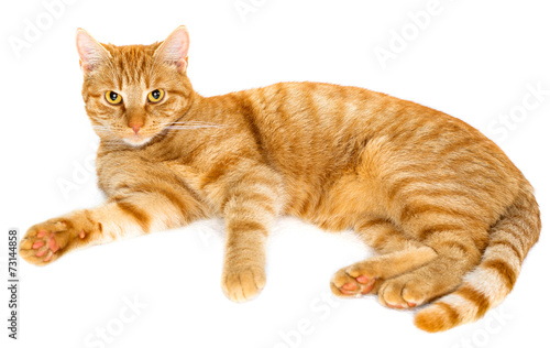 Fototapeta Naklejka Na Ścianę i Meble -  Tuvok