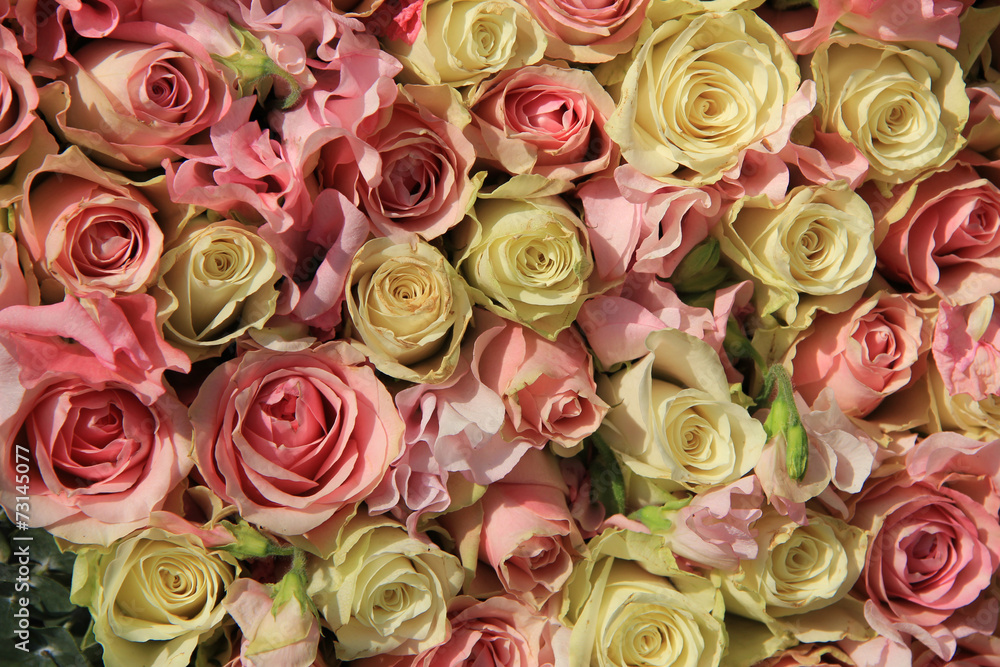 White and pink roses in wedding arrangement White and pink roses in wedding arrangement
