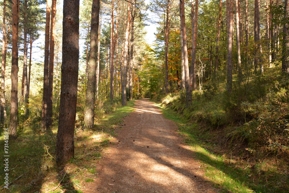 Obraz premium Greenway w Burgos, kolej górnicza