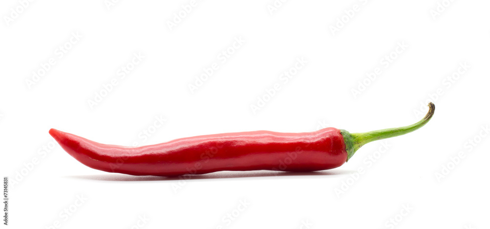 Hot red chili or chilli pepper isolated. Hot red chili or chilli pepper isolated.