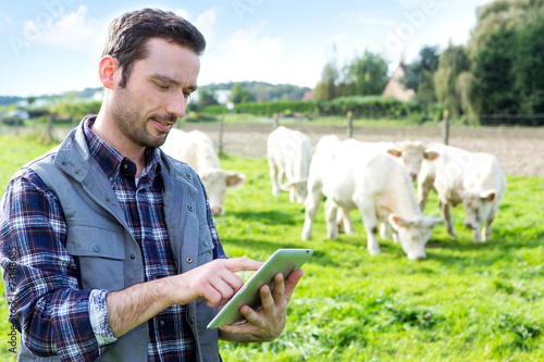 Young attractive farmer using tablet in a field photo