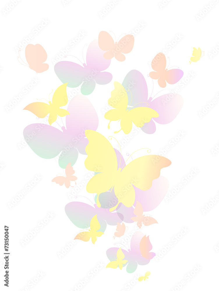butterflies design butterflies design