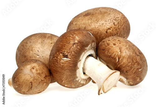 Fresh mushroom champignon isolated on white background