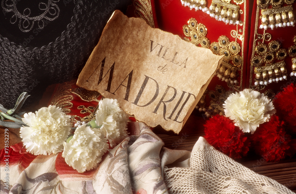 Fototapeta premium madrid city,spain