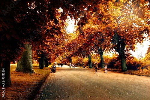 autunno a Regent's park