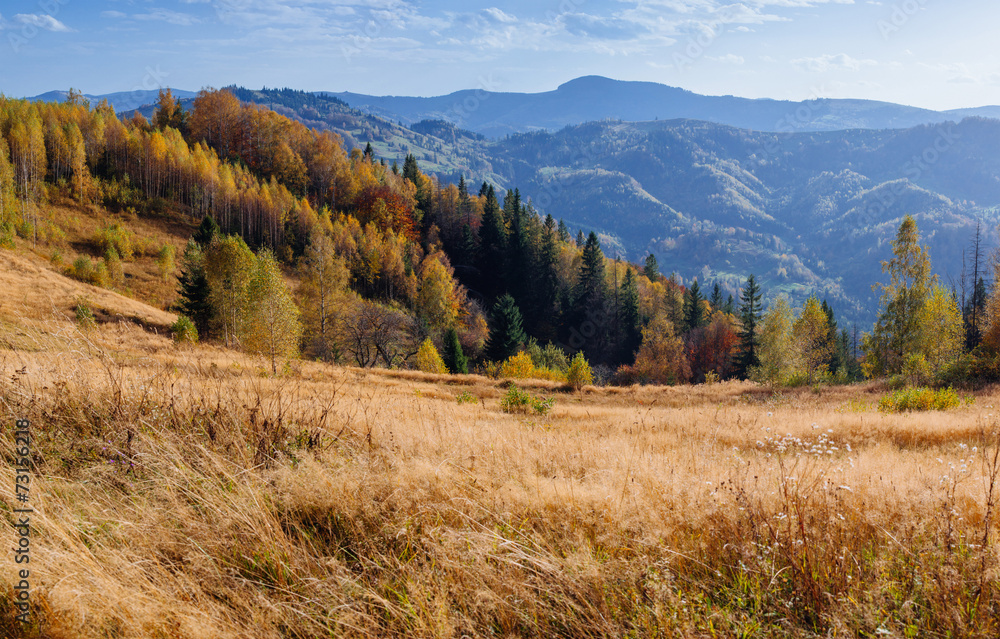 autumn autumn