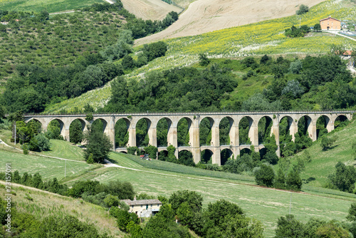 Foto Summer landscape in Marches (Italy)