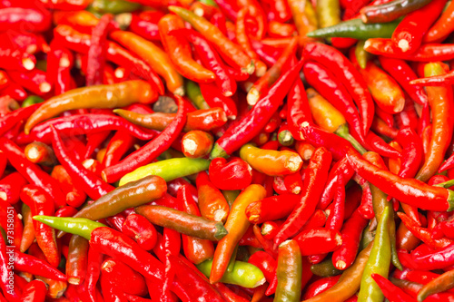 petits piments rouges photo