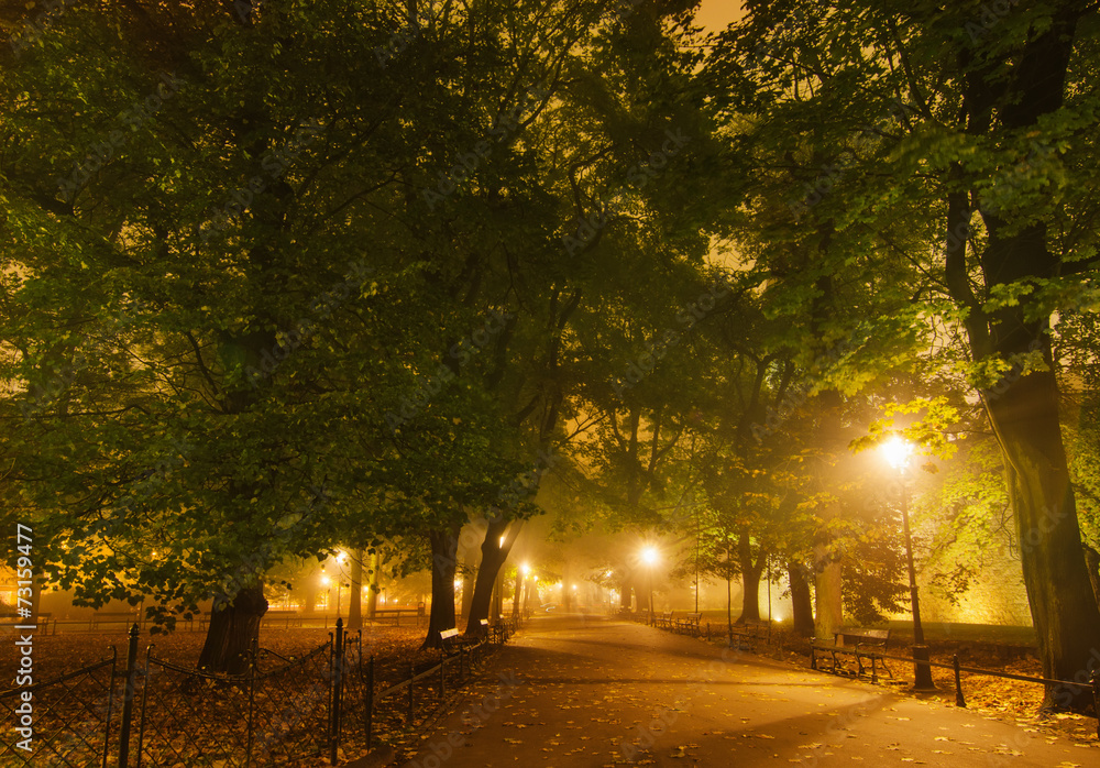 Obraz premium European city park at night