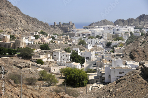 Naklejka Muscat