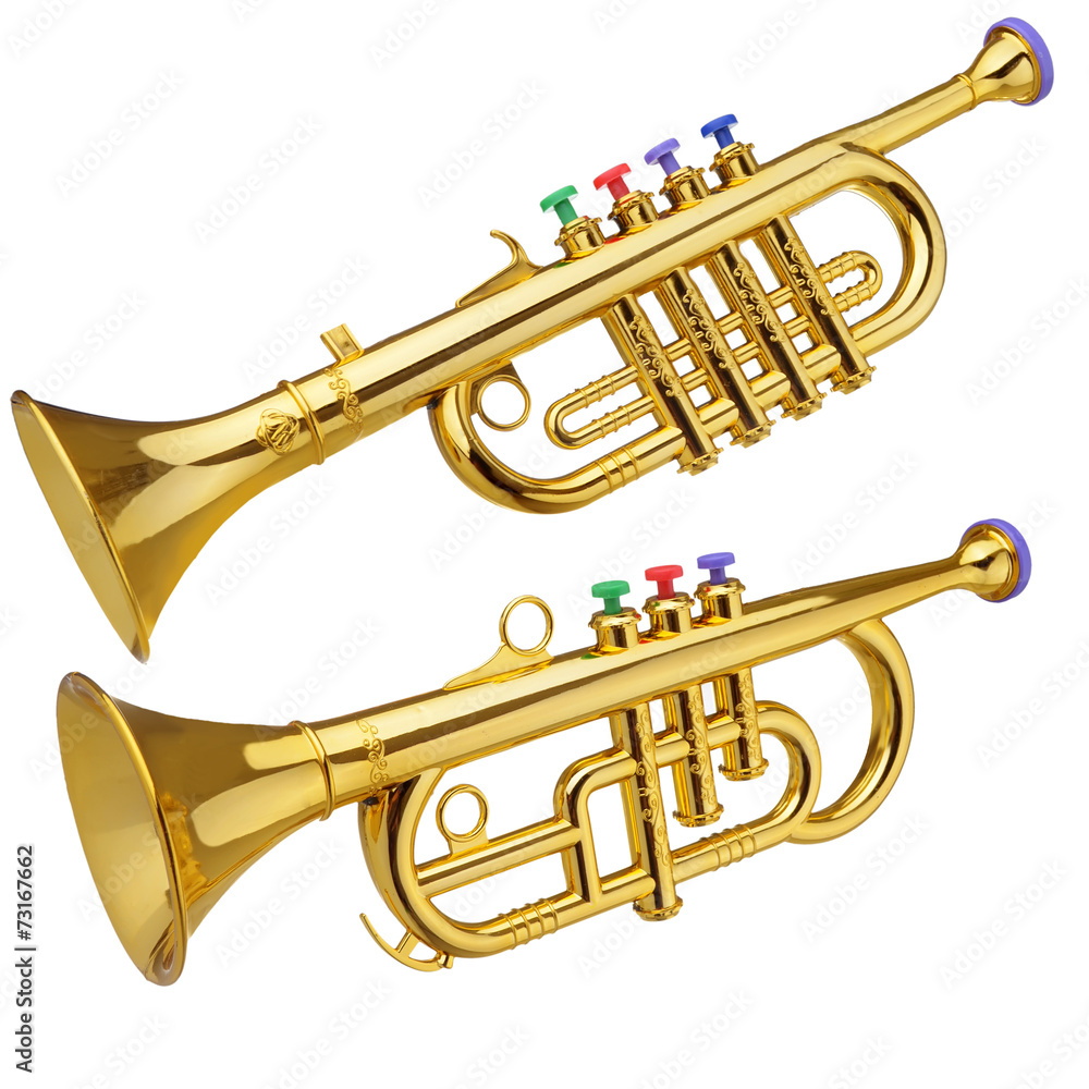 Fototapeta premium toy horn