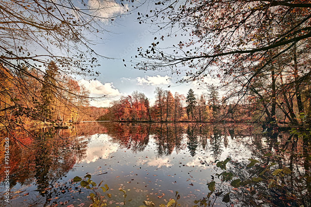 Obraz premium panorama of autumn trees at a glassy lake