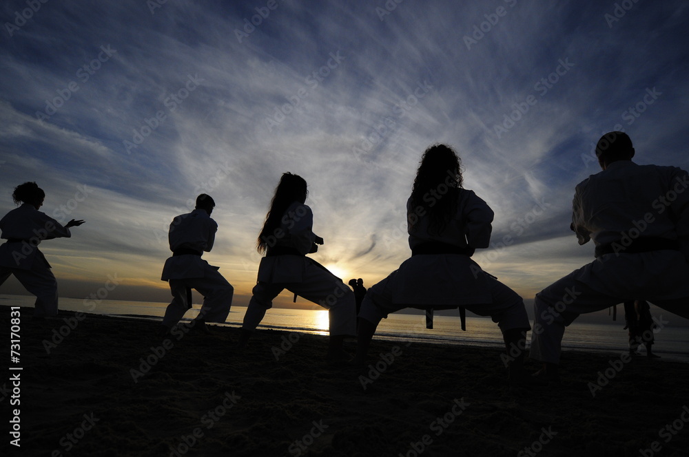 Silhouettes of karate fighters