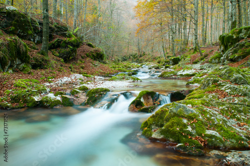 Torrente