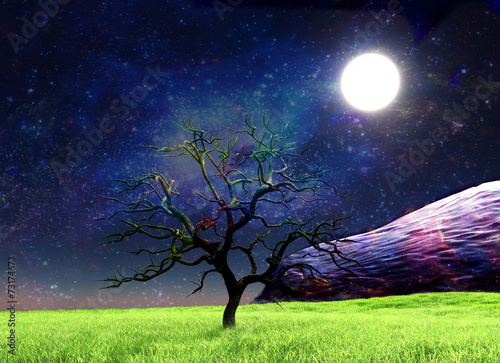 Magic Night