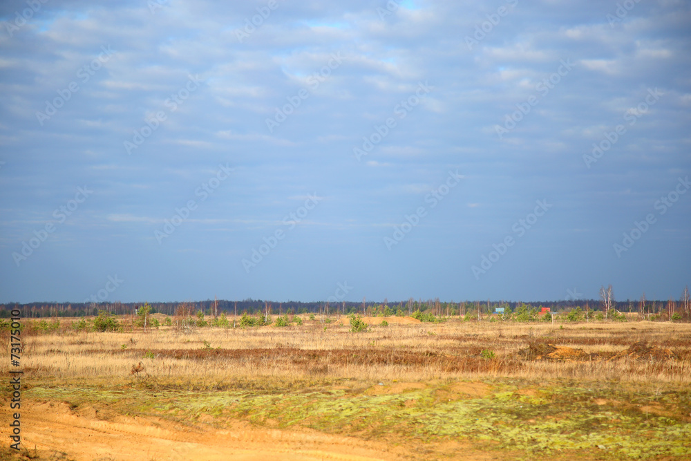 Obraz premium landscape - sand field