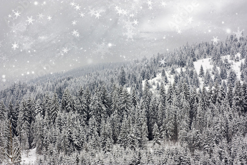 Christmas background with snowy fir trees © erika8213