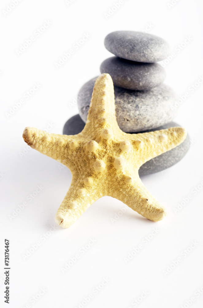 pile of stones and sea star closeup on white background pile of stones and sea star closeup on white background