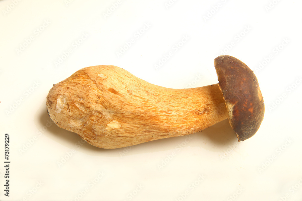 cep cep