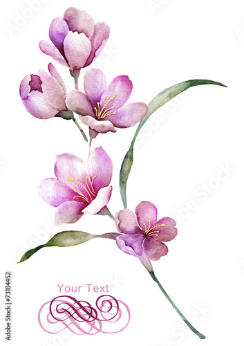 watercolor illustration flower bouquet in simple background 