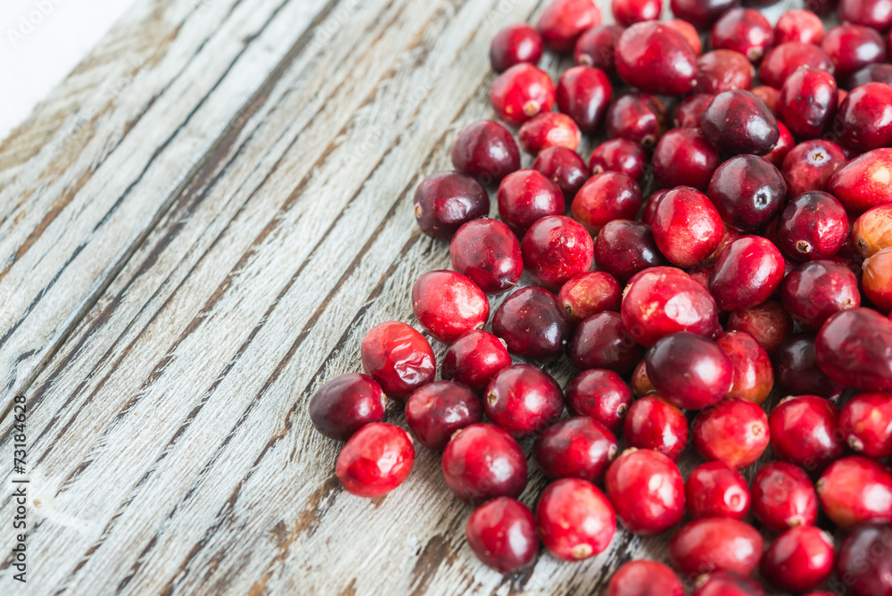 Cranberry Cranberry