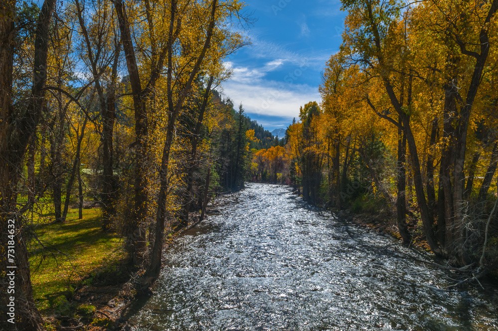 Obraz premium Crystal River Colorado Fall Colors
